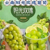有机阳光玫瑰葡萄 精选装