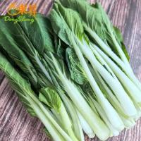 有机小白菜 精选装